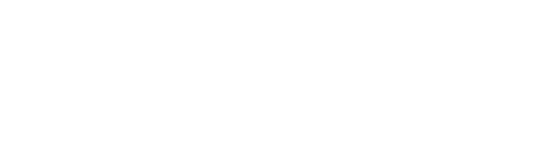 Electrical Equipment Safety System logo